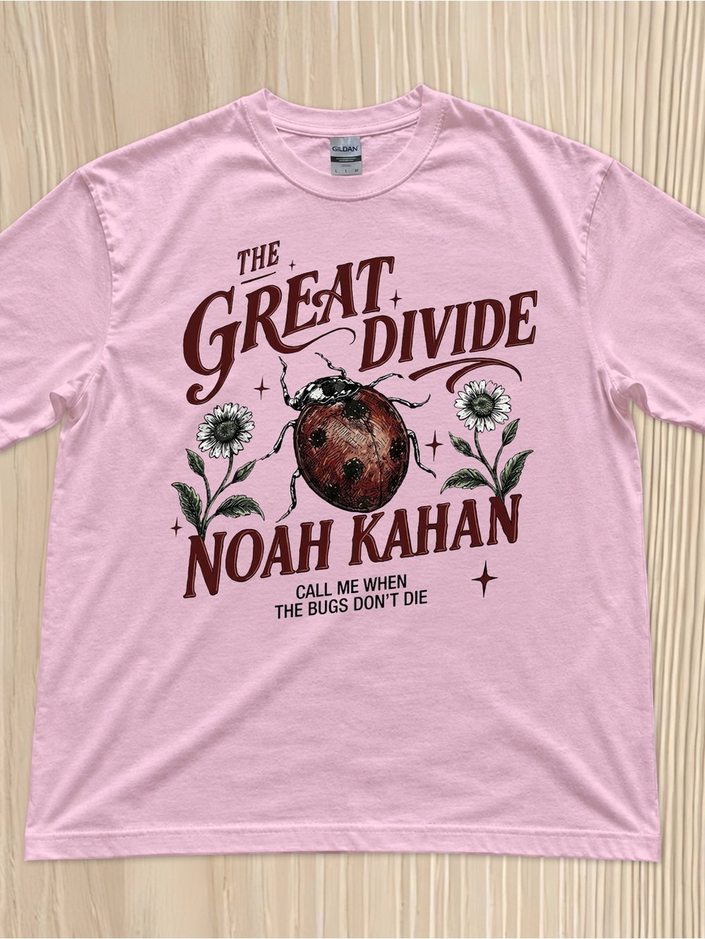 Noah Kahan The Great Didive Ladybugs pink Tshirt